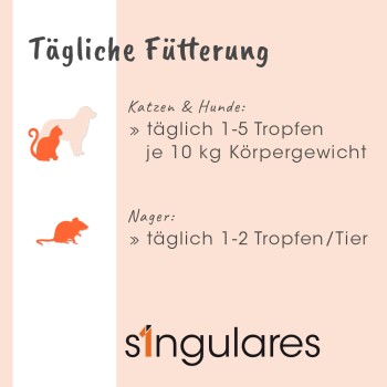 Tägliche Fütterungsanweisungen für Katzen, Hunde und kleine Tiere, mit Dosierungsrichtlinien und dem Markennamen "singulares."
