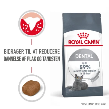 Tüte Royal Canin Dental Katzenfutter mit einer grauen Katze, behauptet, die Bildung von Zahnstein um bis zu 59% in 28 Tagen zu reduzieren.