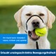 Ein glücklicher Hund mit einem grünen Tennisball, begleitet von Text über Essen, Trinken, Spielen und uneingeschränkte Bewegung.