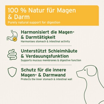 100% natürliche Unterstützung für die Verdauung, mit Vorteilen für Magen- und Darmgesundheit, Schleimhäute und Schutzfunktionen.