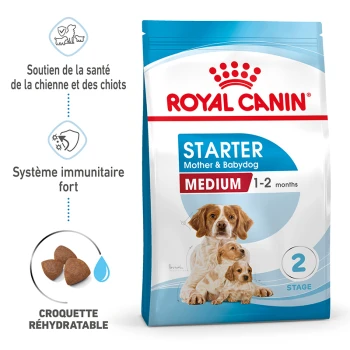 Nourriture pour chiens Royal Canin Starter pour les races moyennes, adaptée aux mères et aux chiots âgés de 1 à 2 mois, avec des croquettes réhydratables.