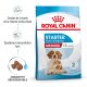 Nourriture pour chiens Royal Canin Starter pour les races moyennes, adaptée aux mères et aux chiots âgés de 1 à 2 mois, avec des croquettes réhydratables.