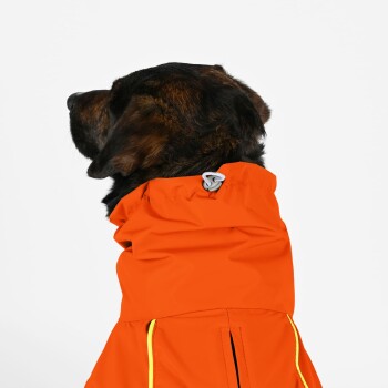 Ein Hund, der einen leuchtend orangefarbenen Regenmantel mit gelben Akzenten trägt, zeigt eine enge Passform um den Hals und Rücken.