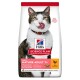 Science Plan Light Mature Adult 7+ avec du poulet 2x7 kg