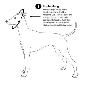 Ein Nahaufnahme-Profil eines braunen Hundes mit einem leuchtend orangefarbenen Halsband vor einem dunkelgrünen Hintergrund.