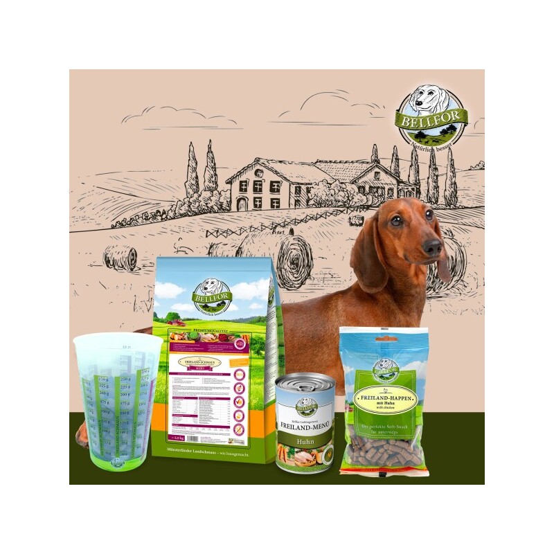 Bellfor Dackel Futter Set