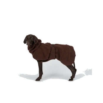 Brauner Hund in dunkelbraunem Sherpa-Fleece-Mantel mit Schnallenriemen, steht vor weißem Studiohintergrund.