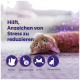 Orangegetigerte Katze liegt auf dem Rücken, deutscher Text 'Hilft, Anzeichen von Stress zu reduzieren' und lila Symbole.