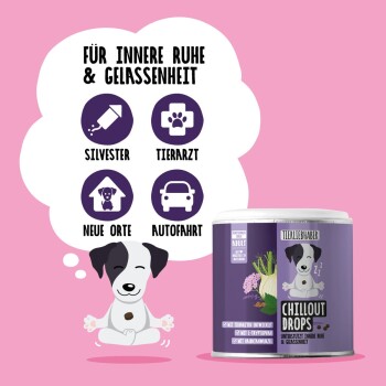 Ein schwarz-weißer Hund sitzt auf einer rosa Oberfläche und schaut auf einen Behälter mit der Aufschrift "Chillout Drops", der von einer Person gehalten wird. Braune Leckerlis sind in der Nähe verstreut.