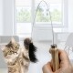 Eine verspielte getigerte Katze, die nach einem schwarzen Feder-Spielzeug greift, das an einem flexiblen Stab befestigt ist, der von einer Hand gehalten wird, in einem hellen, modernen Raum.