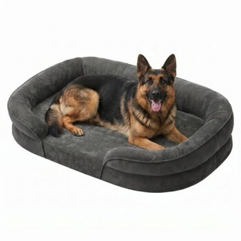 Deutscher Schäfer, mit heraushängender Zunge, liegt auf einem grauen Hundebett mit erhöhten Seiten auf weißem Hintergrund.