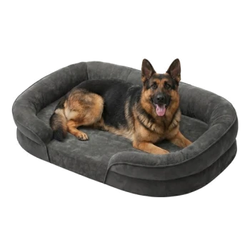 Deutscher Schäfer, mit heraushängender Zunge, liegt auf einem grauen Hundebett mit erhöhten Seiten auf weißem Hintergrund.
