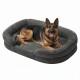 Deutscher Schäfer, mit heraushängender Zunge, liegt auf einem grauen Hundebett mit erhöhten Seiten auf weißem Hintergrund.