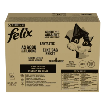 Schachtel Purina Felix Katzenfutter gemischte Auswahl in Gelee mit Bildern und Texten in mehreren Sprachen, mit einer verspielten Katzenillustration.