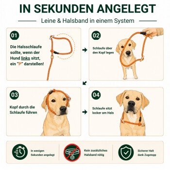 Schwarz-brauner Hund mit rotem Seil-Halsband sitzt draußen vor grünem Gras, Zunge herausgestreckt.