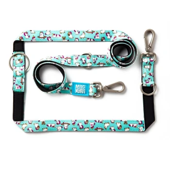 Türkisfarbener Hundeleinen- und Halsband-Set mit Cartoon-Hund- und Einhornmuster, Metallverschlüssen und Max & Molly Etikett.