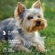 Eine Nahaufnahme eines Yorkshire Terriers, der auf grünem Gras liegt, mit Text, der "Pflanzliche Basis", "Für sensible Tiere geeignet" und "Ohne Parfüm" angibt.