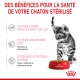Un chaton tigré gris et joueur se tient à côté d'un bol rouge de nourriture sèche Royal Canin, mettant en avant les avantages pour les chatons stérilisés.