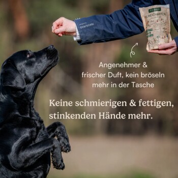 Bild eines "Hundehappen" Haustierfutterbeutels mit einem Pfotenabdruck, der die Unterstützung für Straßenhunde fördert: "1 Beutel = 1 Mahlzeit für Straßenhunde."