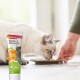 Eine flauschige weiße Katze, die aus einem braunen Teller frisst, mit einer Tube Beaphar Garten Schmaus Katzenfutter mit Karotte und Kurkuma im Vordergrund.