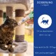 Eine Frau mit langen Haaren hält eine schwarze Katze neben einem großen Hund in einem Garten mit lila Blumen, mit einem Zitat von Lena Huber zu Haustierprodukten.