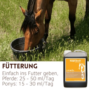 Pferd trinkt aus einem schwarzen Eimer neben einem Kanister mit Aufschrift 'Supravit Leinöl'; sichtbarer Text: 'FÜTTERUNG – Pferde 25–50 ml/Tag'