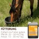 Pferd trinkt aus einem schwarzen Eimer neben einem Kanister mit Aufschrift 'Supravit Leinöl'; sichtbarer Text: 'FÜTTERUNG – Pferde 25–50 ml/Tag'