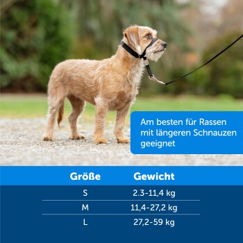 Ein kleiner hellbrauner Hund auf einem Kiesweg, in einem schwarzen Geschirr. Text: "Am besten für Rassen mit längeren Schnauzen." Größentabelle enthalten.
