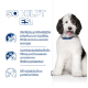 Ein flauschiger schwarz-weißer Hund mit einem blauen Halsband sitzt rechts. Links steht der Text "SO HILFT ES:" mit drei Vorteilen für die Harnwegsgesundheit.