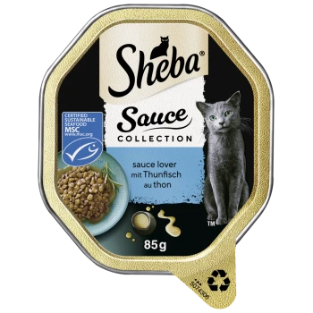 Karma dla kotów Sheba Sauce Collection, 85g, z szarym kotem i miską tuńczyka w sosie, z tekstem "sauce lover mit Thunfisch".