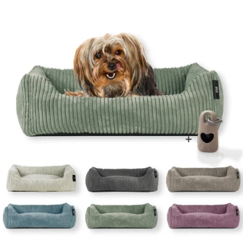 ® Hundebett waschbar für kleine Hunde mit Hundekissen Cord (ca. 55x42 cm) inkl. Gassibeutel Ein gemütliches grünes Hundebett mit einem kleinen Hund, der darin ruht, umgeben von verschiedenen farbigen Hundebetten in Grau, Blau, Grün und Pink.