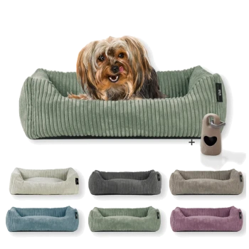 Ein gemütliches grünes Hundebett mit einem kleinen Hund, der darin ruht, umgeben von verschiedenen farbigen Hundebetten in Grau, Blau, Grün und Pink.