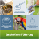Nymphensittich, der Samen frisst, Papagei mit Futter und Tipps: Schalen entfernen, täglich frisches Futter anbieten, Obst/Gemüse hinzufügen. Text: "Empfohlene Fütterung."