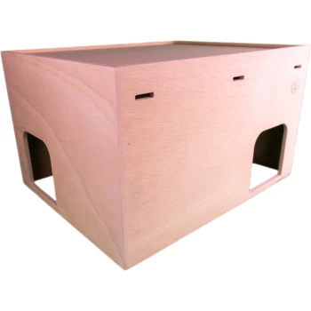 Holzhaustierhaus mit zwei Eingangsöffnungen, mit einer glatten, hellen Oberfläche und einem einfachen, modernen Design.
