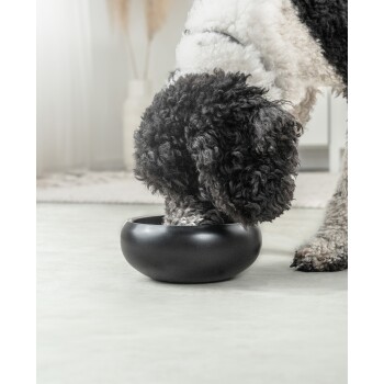 Eine schwarze Hundenapf auf einem hellen Boden mit der Pfote eines lockigen Hundes, die hineinreicht, was auf Fütterungszeit hindeutet.