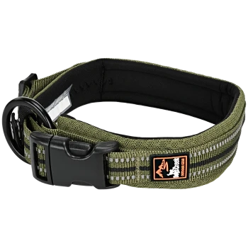 Collier de chien ajustable vert et noir avec une boucle en plastique, un anneau en D en métal, et le logo "Pet Creek Outdoor Gear."