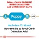 Royal Canin Hundefutterverpackung, die einen Leitfaden zur Fütterung von Dalmatians von 2 Monaten (Welpe) bis 15 Monaten (Erwachsener) zeigt.