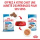 Image de nourriture pour chiots Royal Canin : un sac, un bol de croquettes et un sachet, avec un texte promouvant des expériences sensorielles pour les chiots.