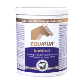 EQUIPUR laminal 1 kg