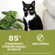 Un chat noir et blanc se lèche les lèvres, se tenant à côté d'une plante verte. Le texte indique "85% d'ingrédients d'origine animale de qualité" et "Sans céréale."