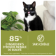 Un chat noir et blanc se lèche les lèvres, se tenant à côté d'une plante verte. Le texte indique "85% d'ingrédients d'origine animale de qualité" et "Sans céréale."