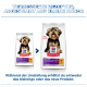 Zwei Hill's Science Plan Hundefuttersäcke (Sensitive Stomach & Skin, Chicken) mit Hundefoto; deutscher Header 'VERBESSERTE REZEPTUR, ABGESTIMMT AUF KLEINE HUNDE'