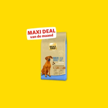 Select Gold Maxi Adult hondenvoer voor honden boven 25 kg, lam & rijst, met tekst "MAXI DEAL van de maand".