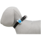 Collier de chien noir avec une étiquette en forme de patte bleue sur un modèle de chien en maille grise.
