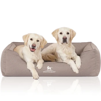 Zwei Golden Retriever Welpen sitzen zusammen auf einem gemütlichen beigen Hundebett mit dem Logo "KNUFFELWUFF", das vorne sichtbar ist.