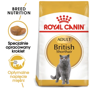 Torba z karmą dla kotów Royal Canin Adult British Shorthair z szarym kotem, podkreślająca żywienie specyficzne dla rasy i kształt krokietów.