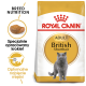 Torba z karmą dla kotów Royal Canin Adult British Shorthair z szarym kotem, podkreślająca żywienie specyficzne dla rasy i kształt krokietów.