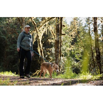 Eine Person führt einen tan- und weißen Hund auf einem Waldweg, umgeben von üppigem Grün und hohen Bäumen im Sonnenlicht.