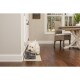 Un petit chien blanc boit dans un bol d'eau pour animaux gris placé sur un tapis beige dans une pièce moderne et lumineuse avec un sol en bois et une table à manger.