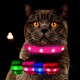 Eine Nahaufnahme einer grauen Katze mit auffälligen orangen Augen, die ein leuchtend pinkes LED-Halsband trägt, begleitet von bunten Halsbandoptionen in Grün, Rot und Blau.